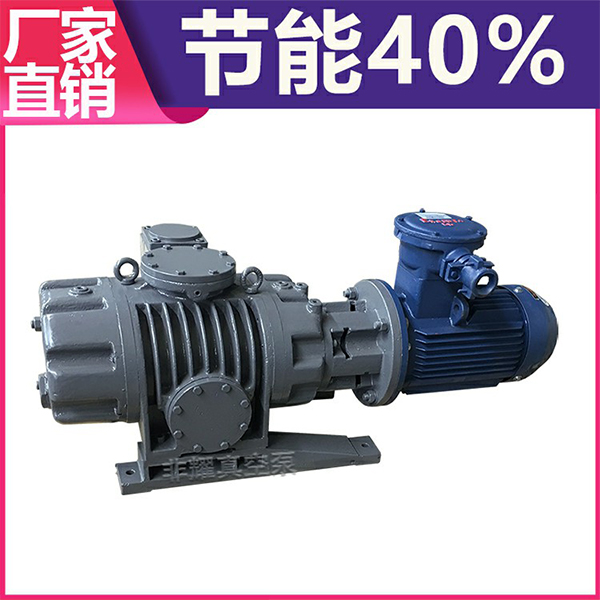 耐腐蝕羅茨真空泵