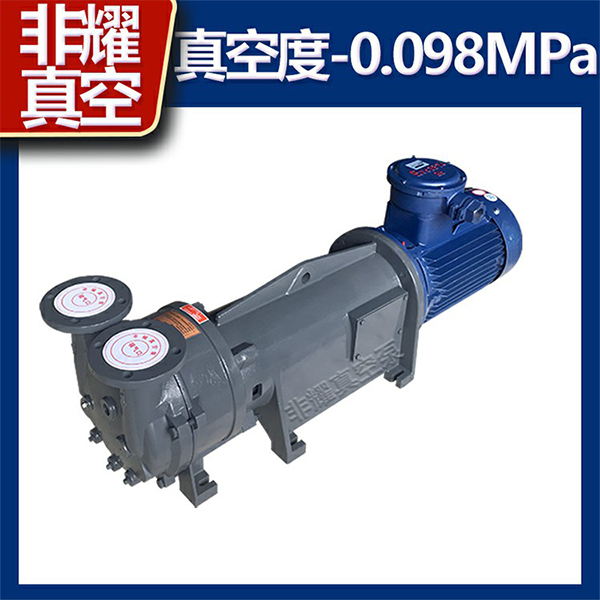 水環(huán)真空泵廠(chǎng)家