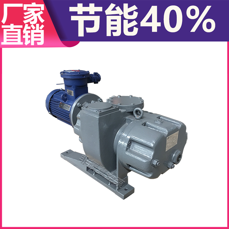 羅茨真空泵廠家