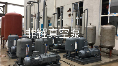 無油螺桿真空泵的特點(diǎn)與應(yīng)用，建議收藏【非耀】