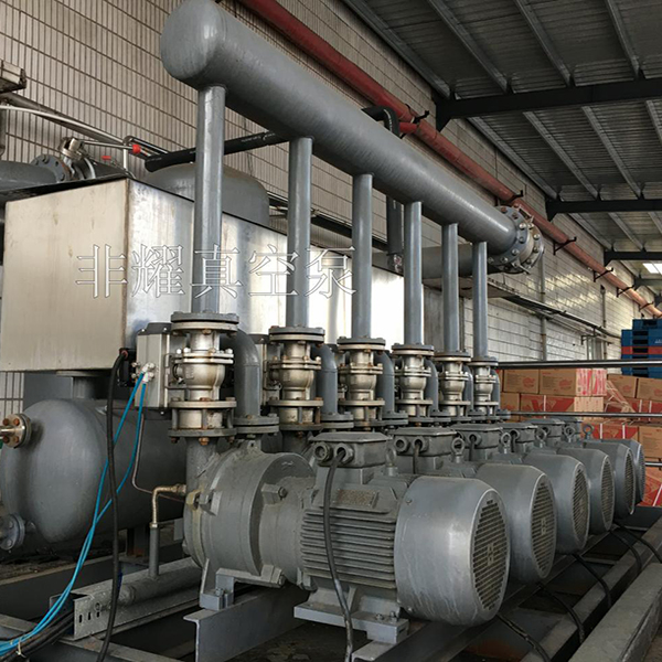 2BV液環(huán)真空泵