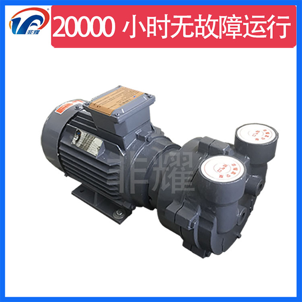 防爆水環(huán)真空泵