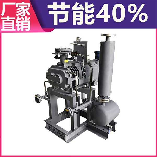 螺桿式真空泵