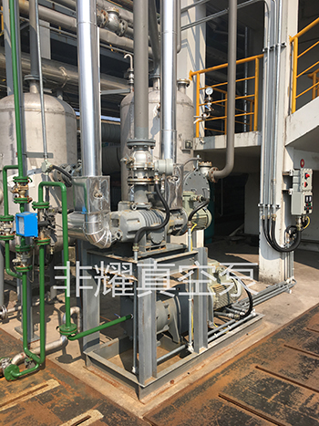 羅茨水環(huán)真空泵機(jī)組