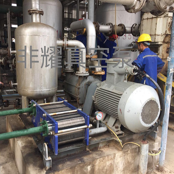 水環(huán)式真空泵故障