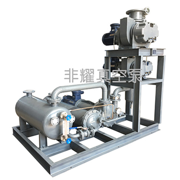 羅茨真空泵型號(hào)