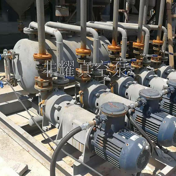 防爆水環(huán)真空泵