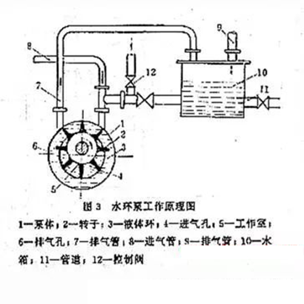 水環(huán)真空泵結(jié)構(gòu)