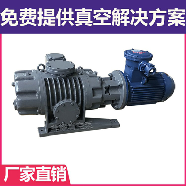 羅茨真空泵設(shè)計