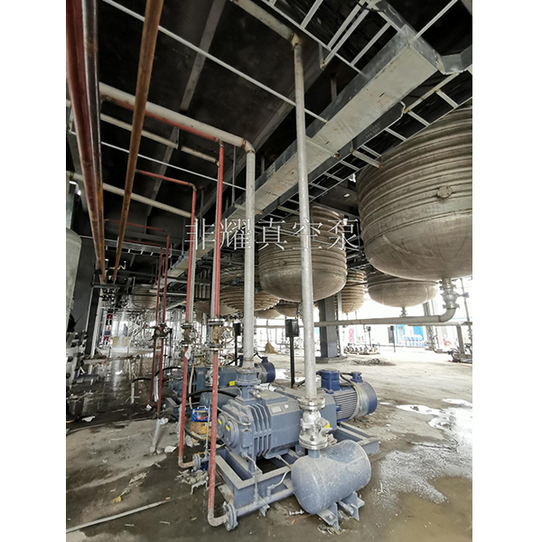 無油螺桿真空泵