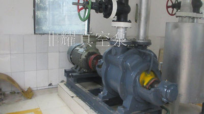 水環(huán)真空泵要想好用自然離不開日常維護【非耀】