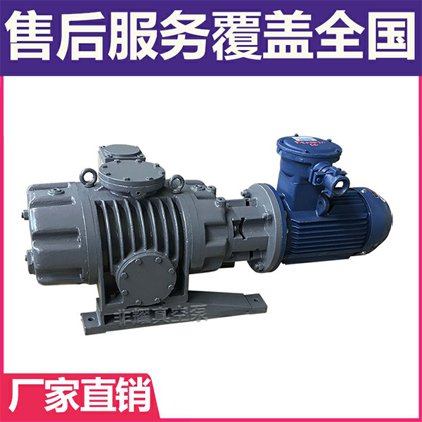 耐腐蝕羅茨真空泵