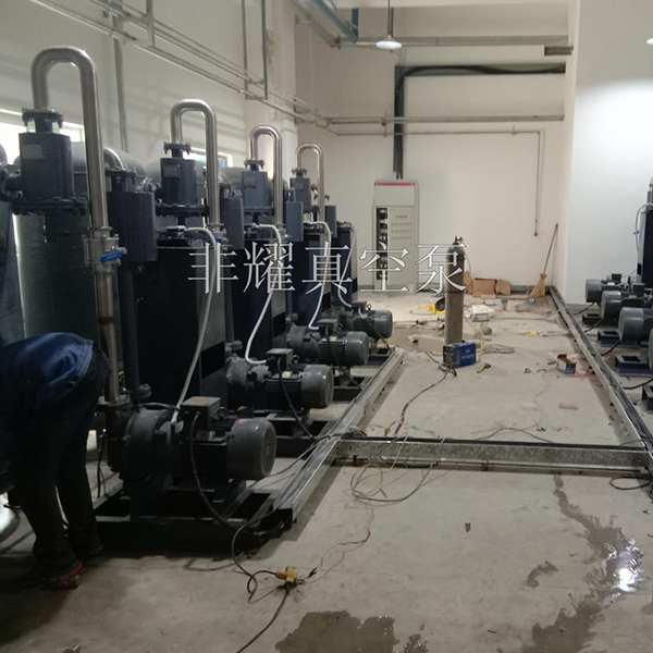 液環(huán)真空泵安裝