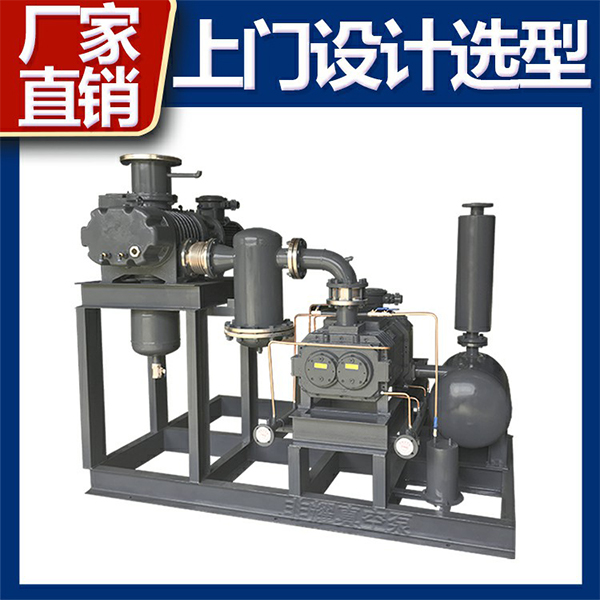 干式螺桿真空機(jī)組