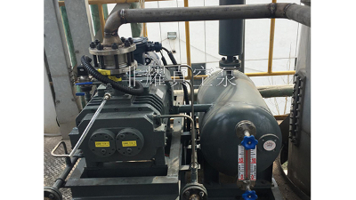 再一次復(fù)購定制型干式螺桿真空機(jī)組【非耀】