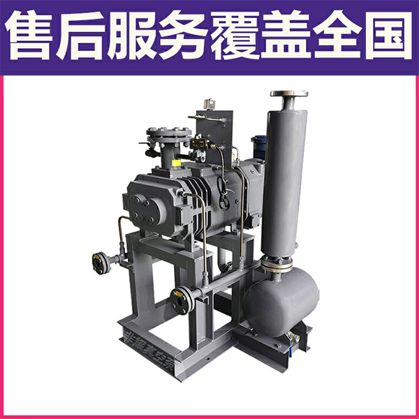 國產(chǎn)干式螺桿真空泵