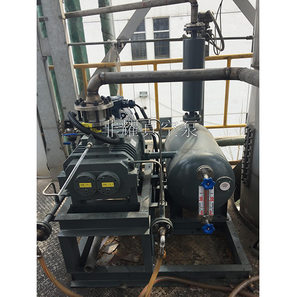 無(wú)油螺桿真空泵