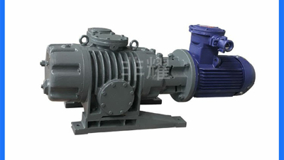 化工行業(yè)選ZJP羅茨真空泵，真空難題一站式解決【非耀】